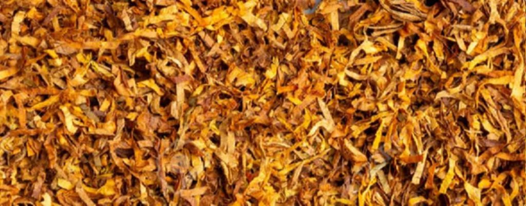 Close-up view of Cut rag tobacco